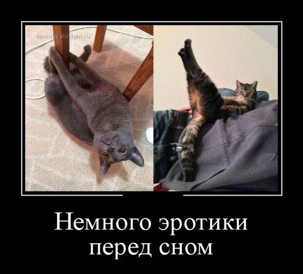 Немного эротики перед сном демотиватор, юмор