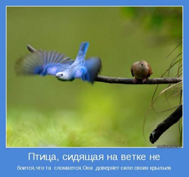 Побеждаем себя. Мотиваторы.