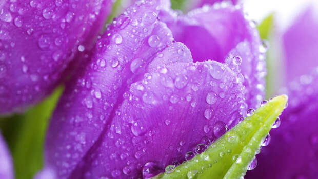 37023-1920x1080 (700x393, 315Kb)