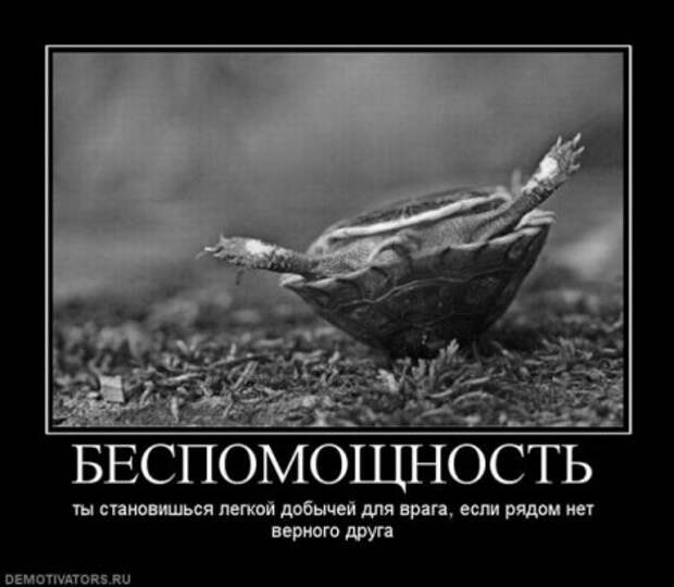 У нас редко бывают грустные демотиваторы, но и они порой нужны!