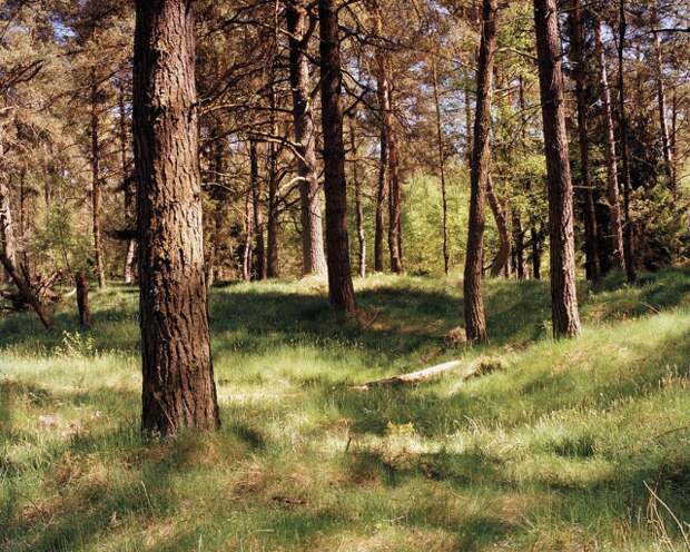 Фотопроект "Камуфляж" - найдите снайпера на фотографии. Фотограф Симон Меннер