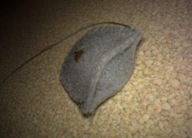 Барашек из фетра 8