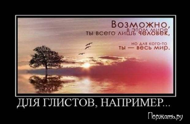 Демотиваторы (21 фото)