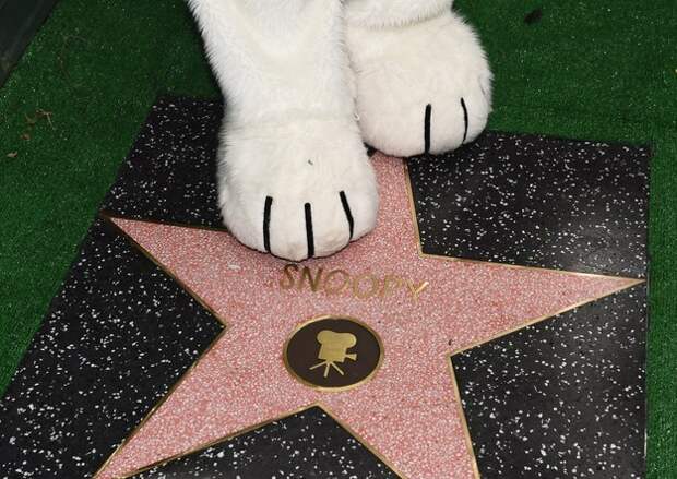 Snoopy just got his star on the Hollywood Walk of Fame...