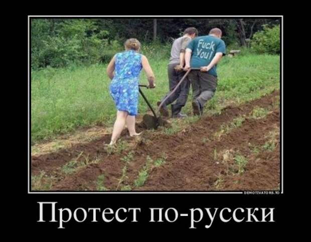 Немного свежих демотиваторов (11 шт)