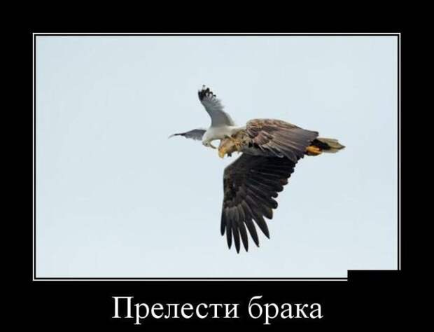 Демотиваторы (30 фото)