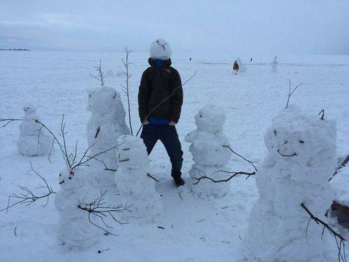 Прикольные картинки