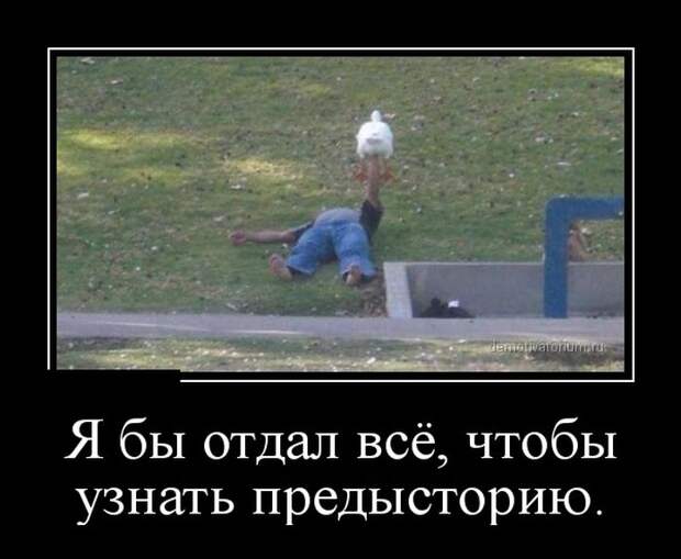 Подборка демотиваторов демотиватор, юмор