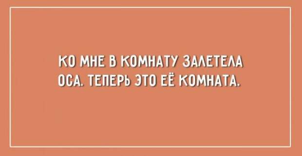 20 юморных открыток о правде жизни жизнь, открытки, юмор