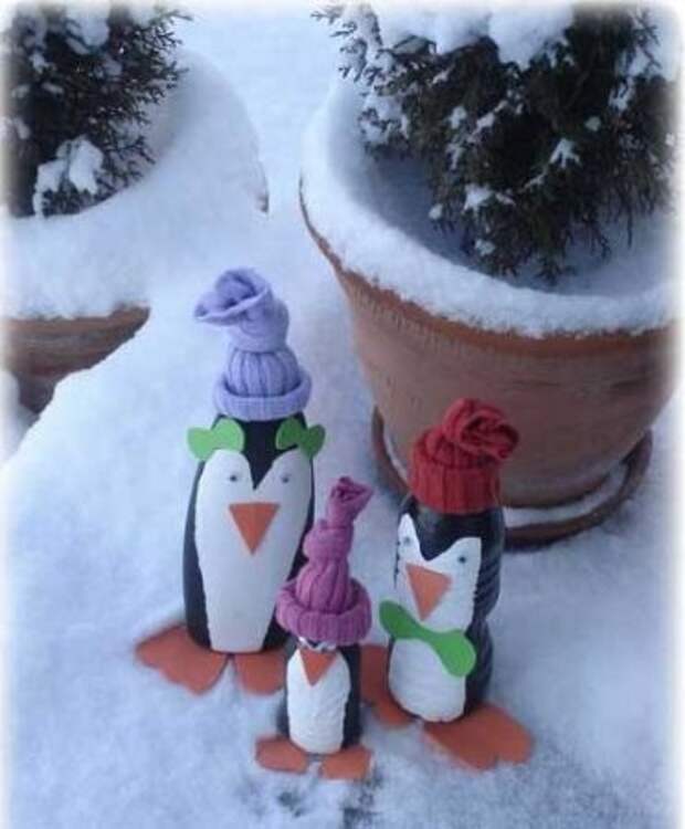 для зимнего сада