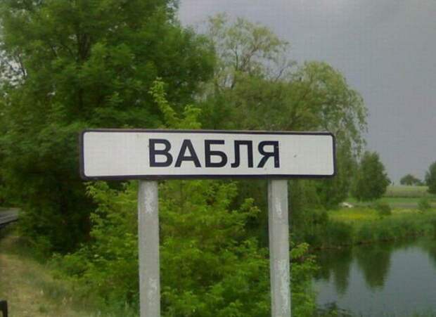 забавные фото из путешествий