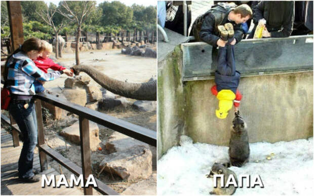 мама, папа, отличия