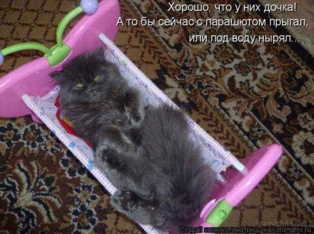 Осенняя подборка Котоматриц 2010 - Выпуск 22