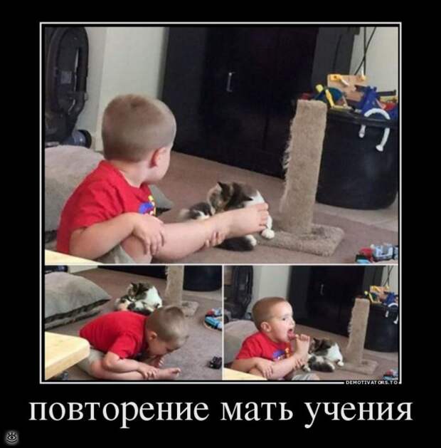 Не сдавайся никогда! 6
