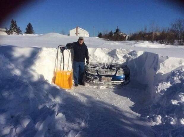 Прикольные картинки
