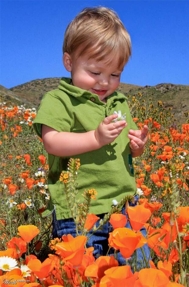 7475487_03b2_1024x2000 (460x700, 118Kb)