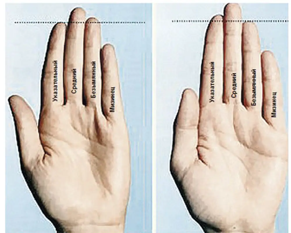 длина члена и пальцы рук в руки фото 88