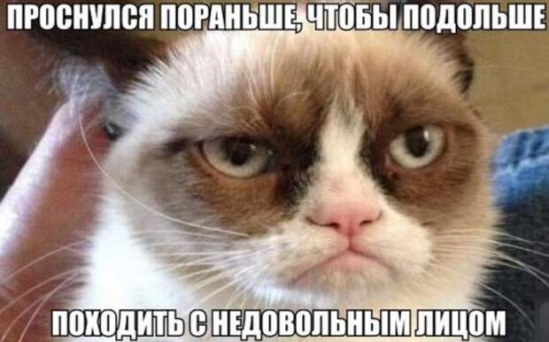 Пятничные картинки с приколами (35 шт)