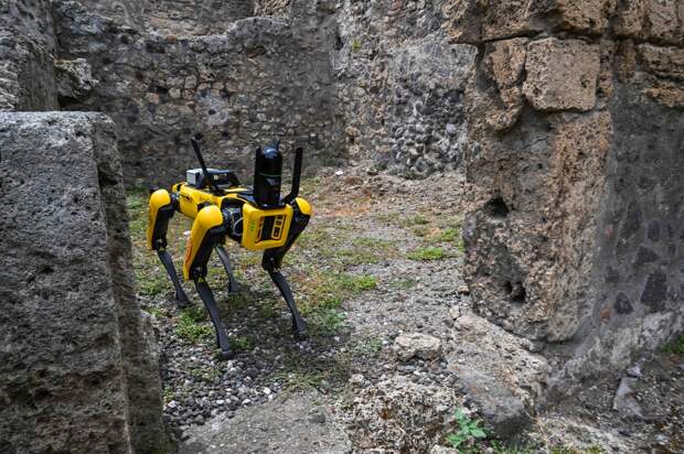 Робот Spot сканирует ландшафт в Археологическом парке «Помпеи». Машина может работать в местах, опасных для человека