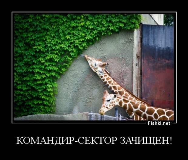 Демотиваторы демотиваторы, картинки, приколы
