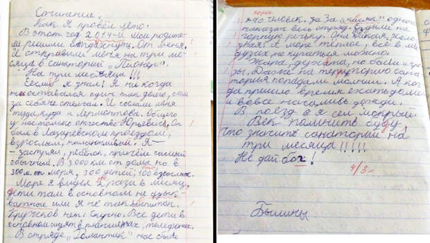 гениальное сочинение, как я провел лето