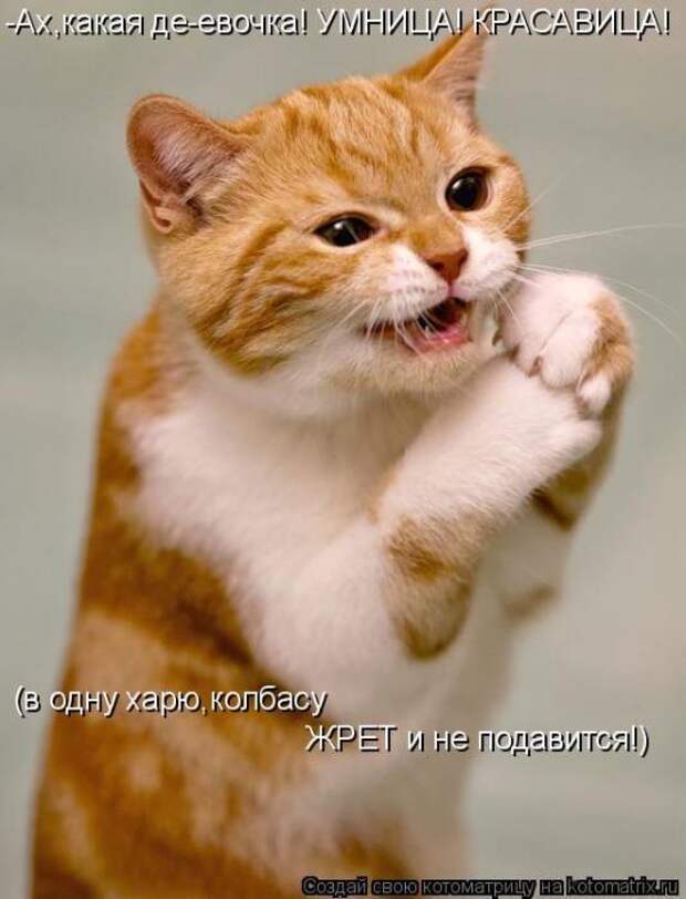 Мысли вслух :)
