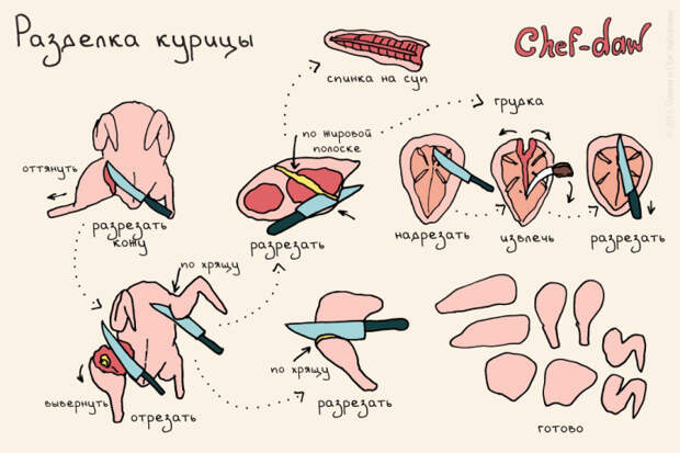 универсальная шпаргалка для кухни 