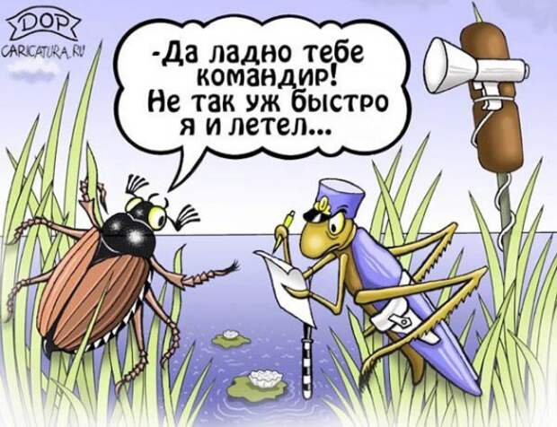 Юмор в картинках