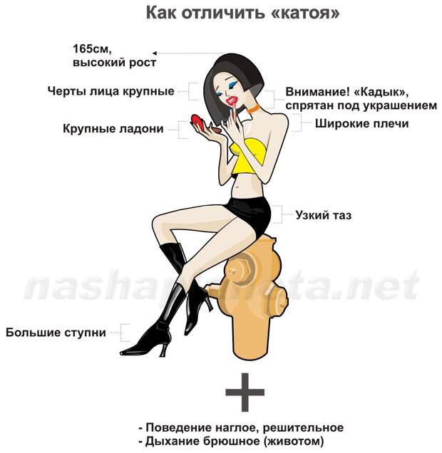 Как отличить катоя