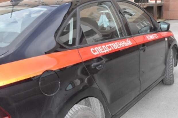 Председатель СК России поручил представить доклады о расследовании обстоятельств нападения безнадзорных собак на жителей Татарстана, Карелии и Сахалинской области