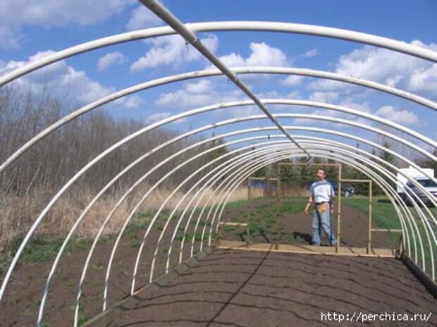 4979645_greenhouse8_1_ (450x337, 141Kb)