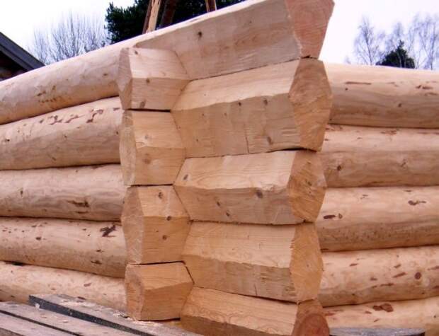 srub iz brevna.jpg 11.jpg srub iz brevna.jpg 11.jpg