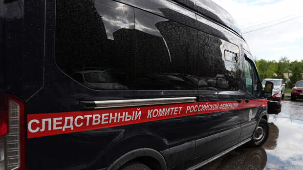 Стая собак загрызла десятилетнего мальчика в Красноярском крае