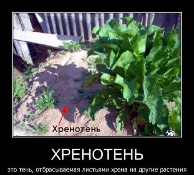 Демотиваторы новые, надписи и фото прикольные.