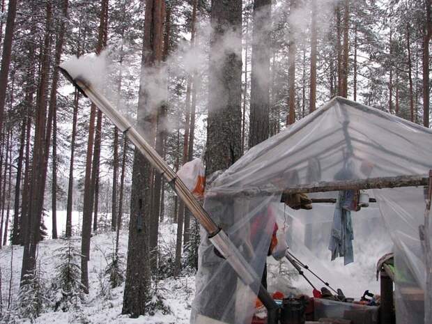 Отпуск в лесу