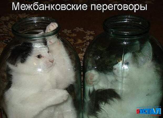 Смешные картинки с надписями прикол, юмор