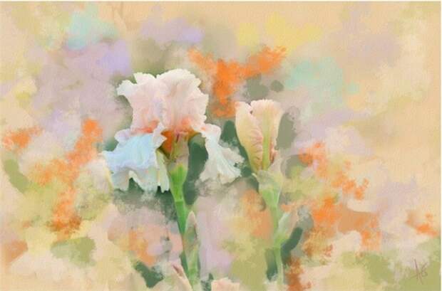 Alberto_Guillen_Flower_Paintings_7 (670x443, 212Kb)