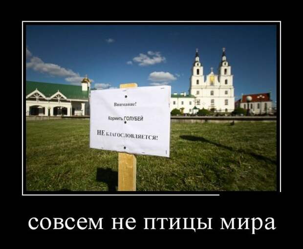 Демотиваторы №1202 (30 фото) Демотиваторы №1202 (30 фото)