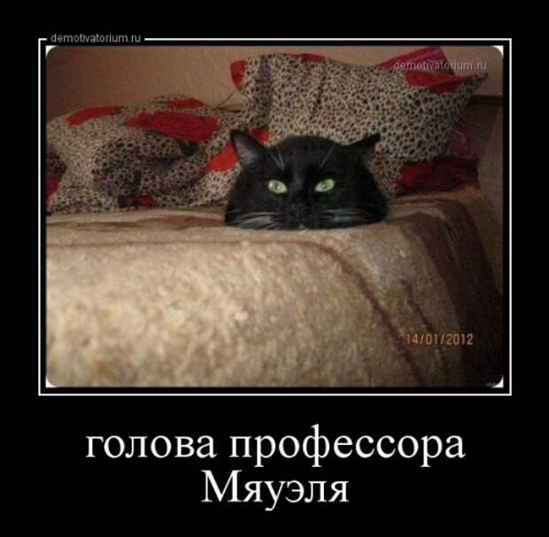 Сборник демотиваторов (13 шт)