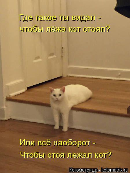22 (450x600, 161Kb)