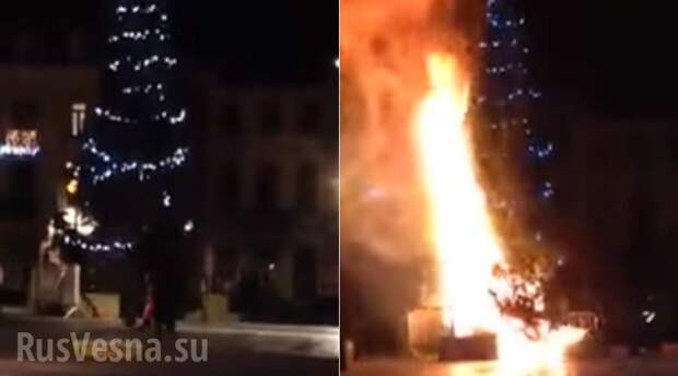 В Бельгии с криками «Аллах акбар!» мигранты подожгли рождественскую елку (ВИДЕО) | Русская весна