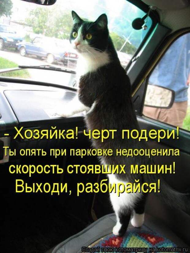 Мысли вслух :)