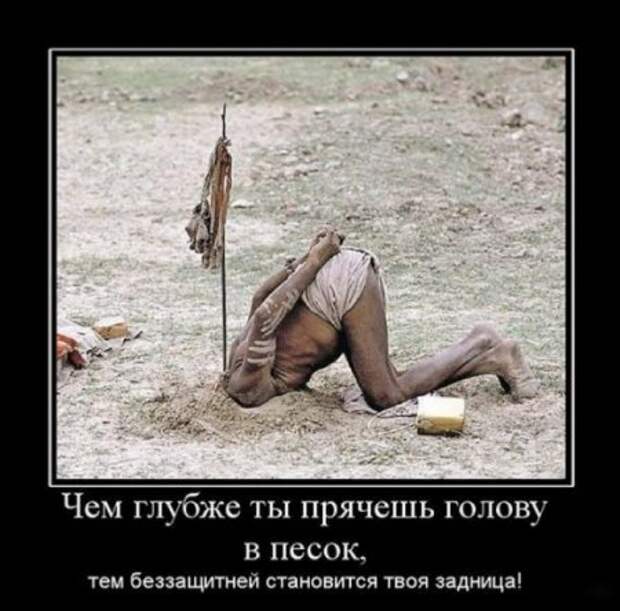 Прикольные Демы