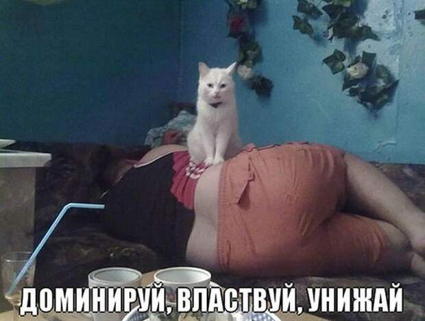 Доминируй, властвуй, унижай!