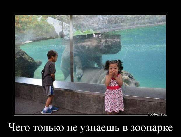Пятничная подборка демотиваторов демотиваторы, юмор