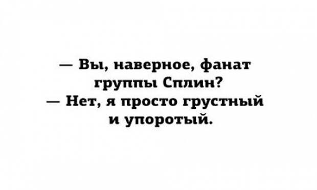 остроумные аткрытки 