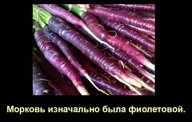 Мир удивителен, господа! Мир удивителен, господа! интересное, мир, невероятное