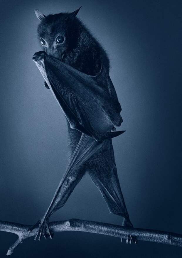 Фотоприколы кучей