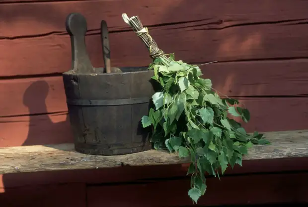 Банные веники для женщин и мужчин делались из веток деревьев разных пород. /Фото: static.life.ru