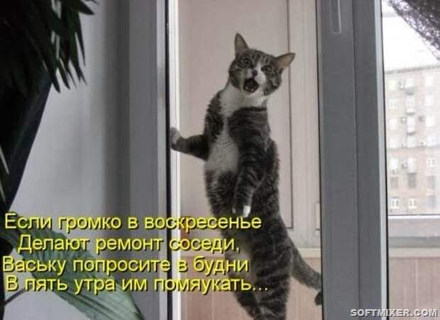 5b2363c5dd934486ff4b8e2b0ba_prev